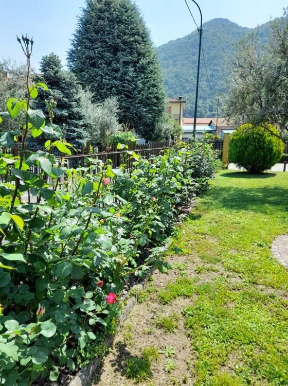 Fontana Fiorita Iseo Apartment Exterior photo